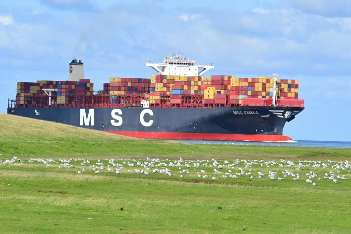 A massive container ship navigates near Cuxhaven with seagulls in the foreground under a clear sky.